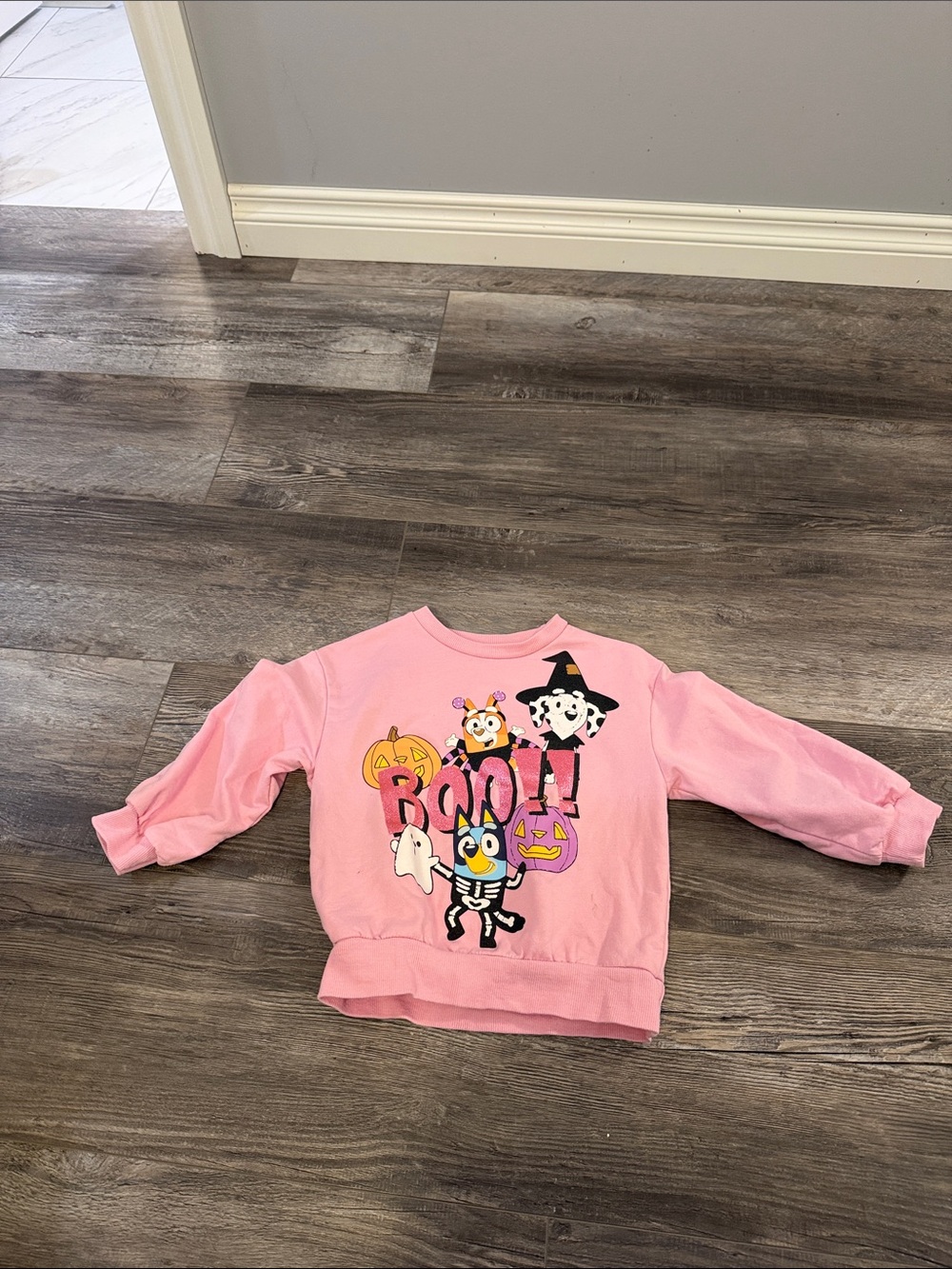 Bluey Pink Halloween Graphic Sweatshirt with Pumpkins & Characters